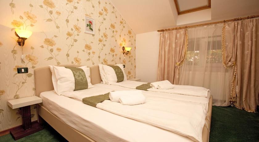 Pension Dinu Residence Тімішоара Екстер'єр фото